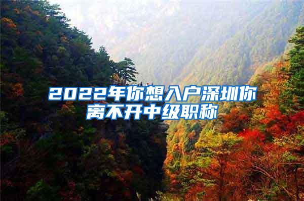 2022年你想入户深圳你离不开中级职称