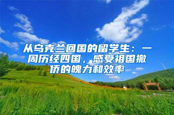 从乌克兰回国的留学生：一周历经四国，感受祖国撤侨的魄力和效率