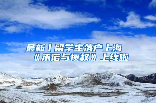 最新丨留学生落户上海《承诺与授权》上线啦