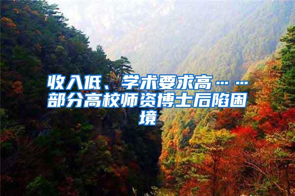 收入低、学术要求高……部分高校师资博士后陷困境