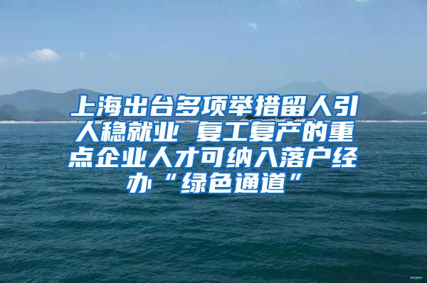 上海出台多项举措留人引人稳就业 复工复产的重点企业人才可纳入落户经办“绿色通道”