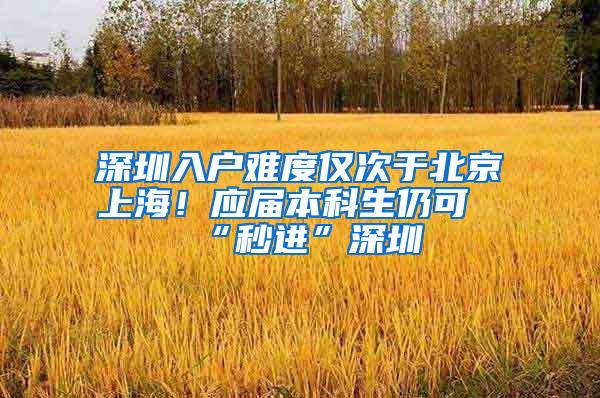 深圳入户难度仅次于北京上海！应届本科生仍可“秒进”深圳