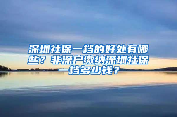 深圳社保一档的好处有哪些？非深户缴纳深圳社保一档多少钱？