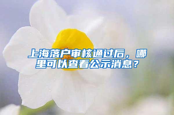 上海落户审核通过后，哪里可以查看公示消息？