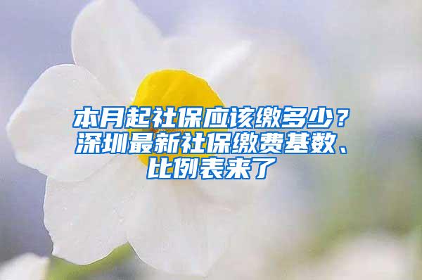 本月起社保应该缴多少？深圳最新社保缴费基数、比例表来了