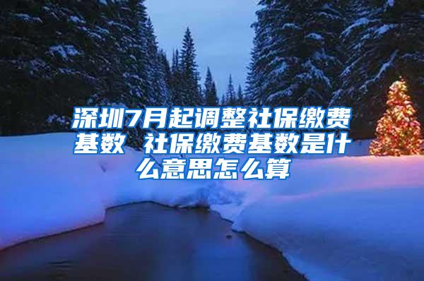 深圳7月起调整社保缴费基数 社保缴费基数是什么意思怎么算