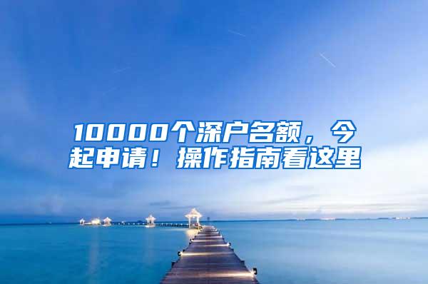 10000个深户名额，今起申请！操作指南看这里