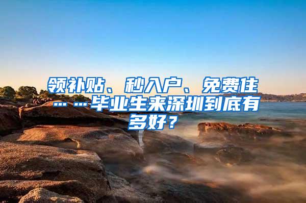 领补贴、秒入户、免费住……毕业生来深圳到底有多好？