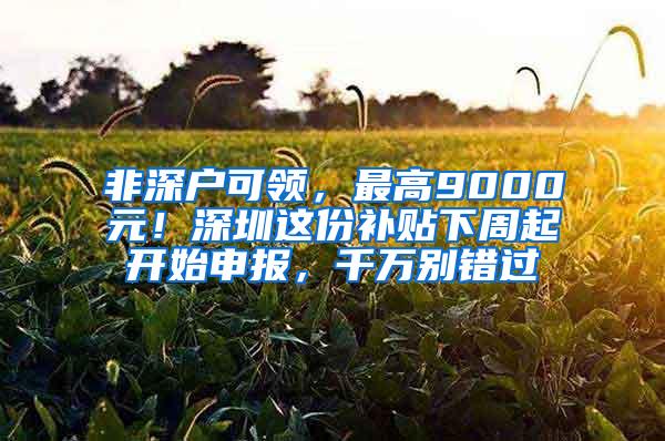 非深户可领，最高9000元！深圳这份补贴下周起开始申报，千万别错过