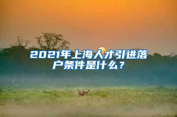 2021年上海人才引进落户条件是什么？