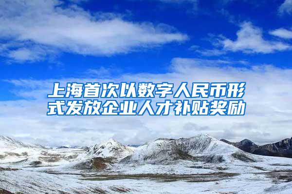 上海首次以数字人民币形式发放企业人才补贴奖励