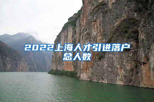 2022上海人才引进落户总人数