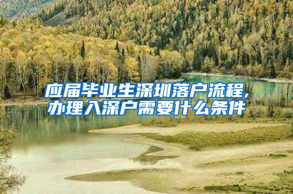 应届毕业生深圳落户流程,办理入深户需要什么条件