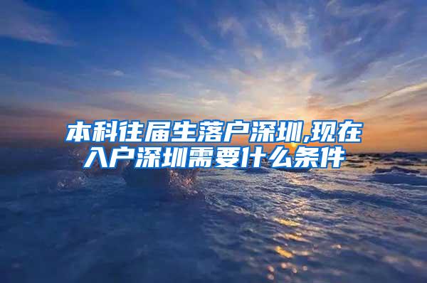 本科往届生落户深圳,现在入户深圳需要什么条件