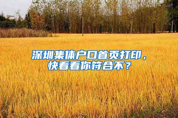 深圳集体户口首页打印，快看看你符合不？