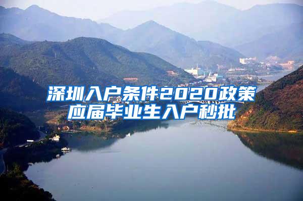 深圳入户条件2020政策应届毕业生入户秒批