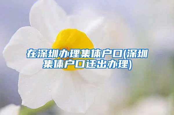 在深圳办理集体户口(深圳集体户口迁出办理)