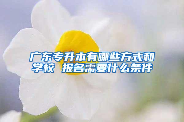 广东专升本有哪些方式和学校 报名需要什么条件