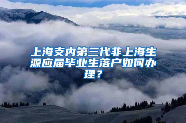 上海支内第三代非上海生源应届毕业生落户如何办理？