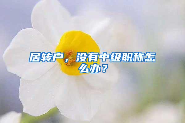 居转户，没有中级职称怎么办？