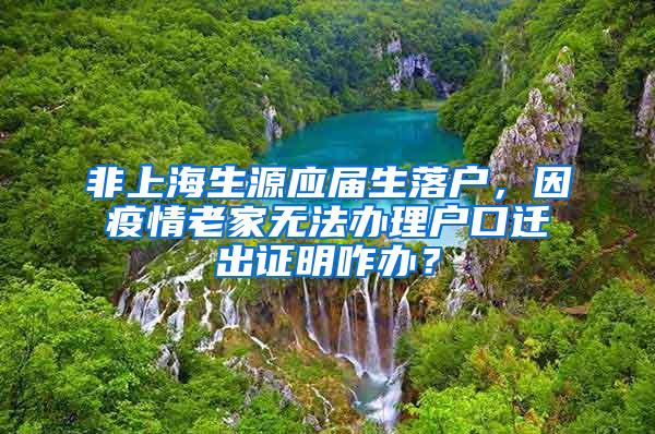 非上海生源应届生落户，因疫情老家无法办理户口迁出证明咋办？