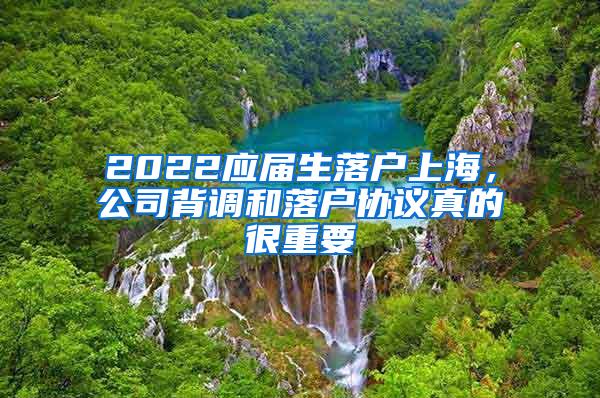 2022应届生落户上海，公司背调和落户协议真的很重要