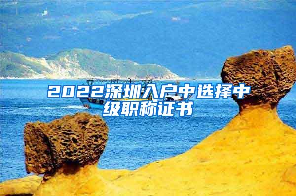 2022深圳入户中选择中级职称证书