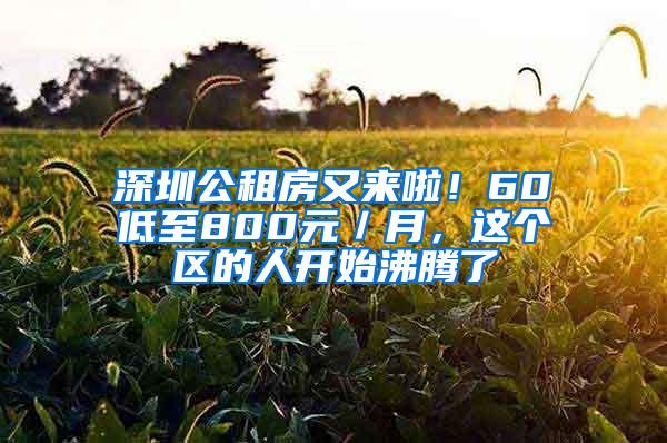 深圳公租房又来啦！60㎡低至800元／月，这个区的人开始沸腾了