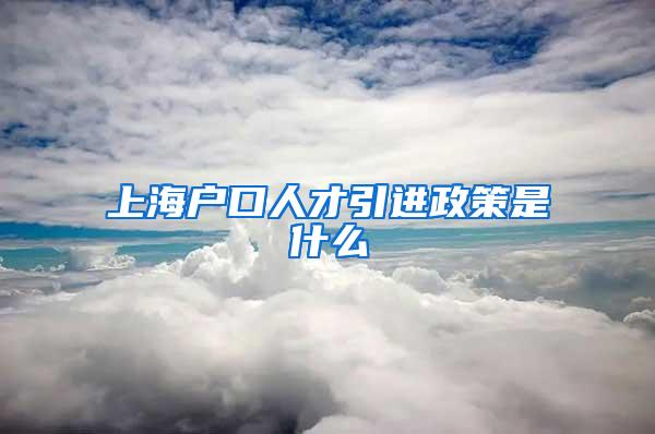 上海户口人才引进政策是什么