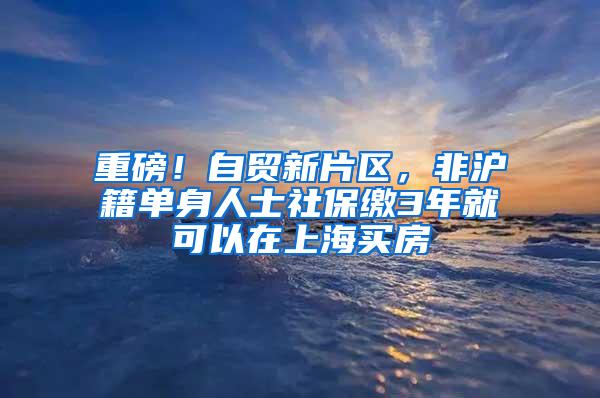 重磅！自贸新片区，非沪籍单身人士社保缴3年就可以在上海买房