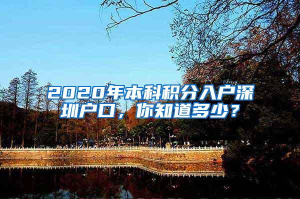 2020年本科积分入户深圳户口，你知道多少？