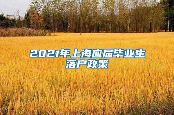 2021年上海应届毕业生落户政策