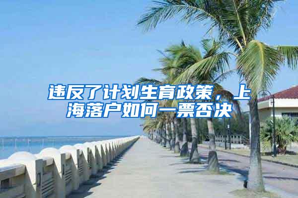 违反了计划生育政策，上海落户如何一票否决