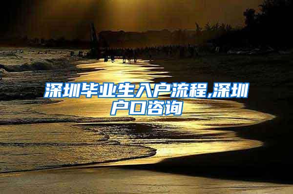 深圳毕业生入户流程,深圳户口咨询