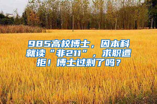 985高校博士，因本科就读“非211”，求职遭拒！博士过剩了吗？