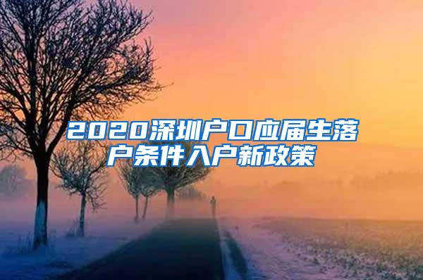 2020深圳户口应届生落户条件入户新政策