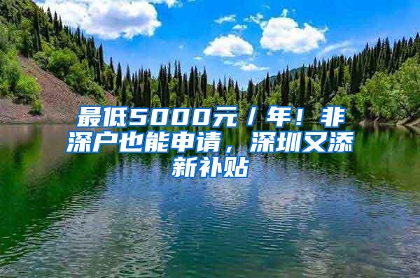 最低5000元／年！非深户也能申请，深圳又添新补贴