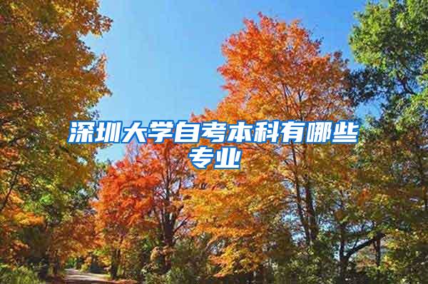 深圳大学自考本科有哪些专业