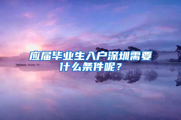 应届毕业生入户深圳需要什么条件呢？