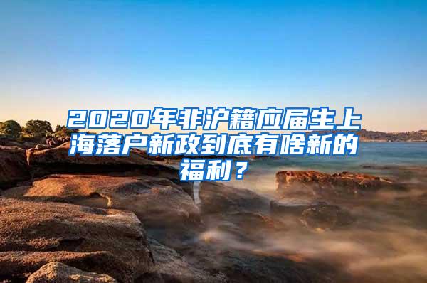 2020年非沪籍应届生上海落户新政到底有啥新的福利？