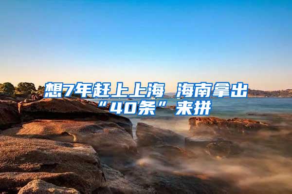 想7年赶上上海 海南拿出“40条”来拼