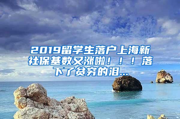 2019留学生落户上海新社保基数又涨啦！！！落下了贫穷的泪...