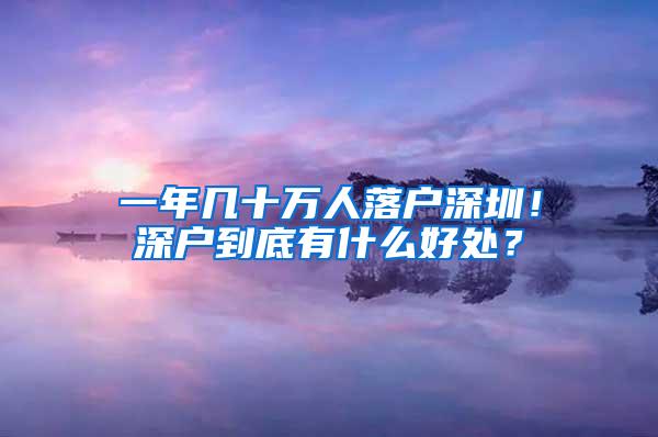 一年几十万人落户深圳！深户到底有什么好处？