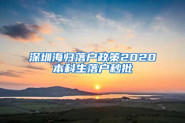 深圳海归落户政策2020本科生落户秒批