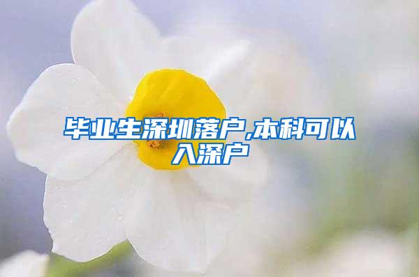 毕业生深圳落户,本科可以入深户