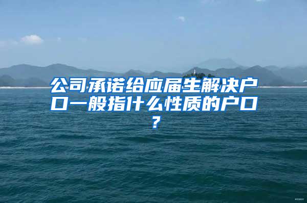 公司承诺给应届生解决户口一般指什么性质的户口？