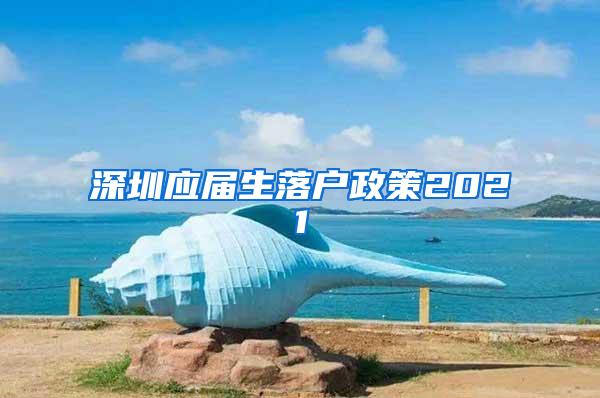 深圳应届生落户政策2021