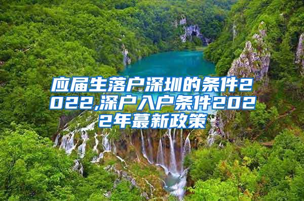 应届生落户深圳的条件2022,深户入户条件2022年蕞新政策