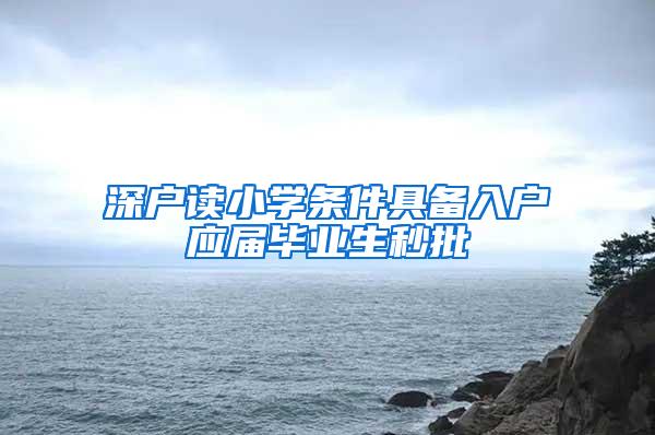 深户读小学条件具备入户应届毕业生秒批