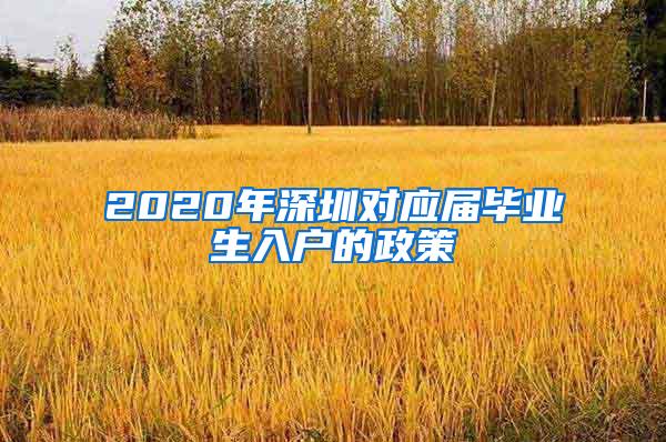 2020年深圳对应届毕业生入户的政策